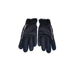 Gants Hiver Windtex