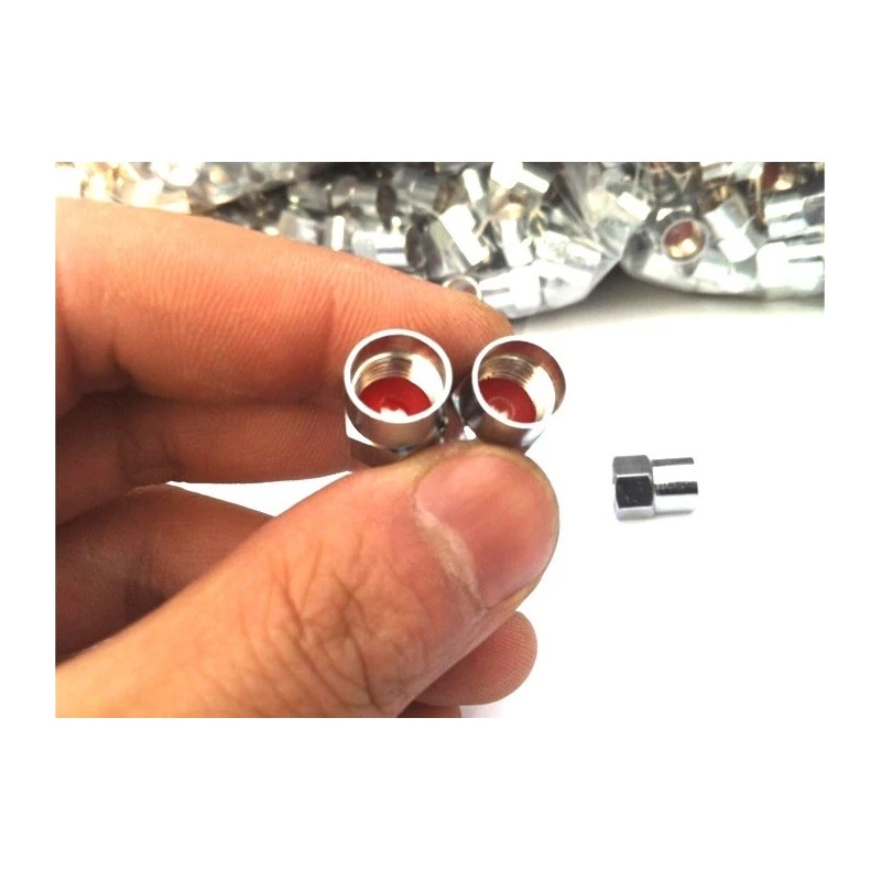 Schwalbe Lot De 10 Bouchons De Valve Schrader Chromés 2 Schwalbe Lot De 10 Bouchons De Valve Schrader Chromés – Image 2